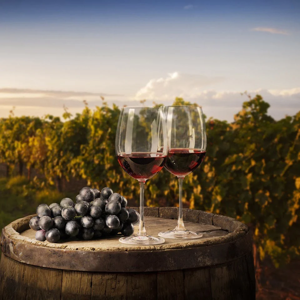 Vinhos antigos: por que emocionam e por que não são “vinhos velhos”